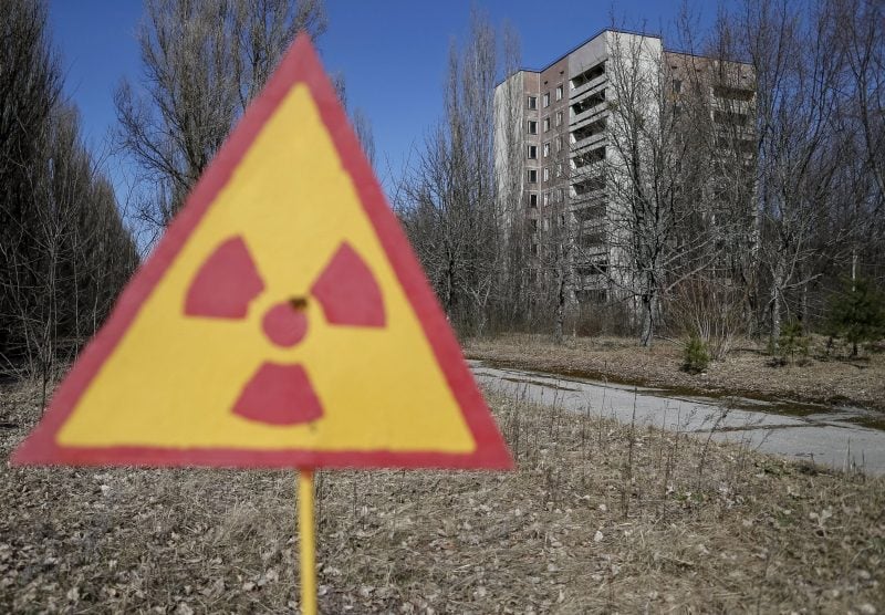 На месте Чернобыльской катастрофы продолжается жизнь / фото REUTERS