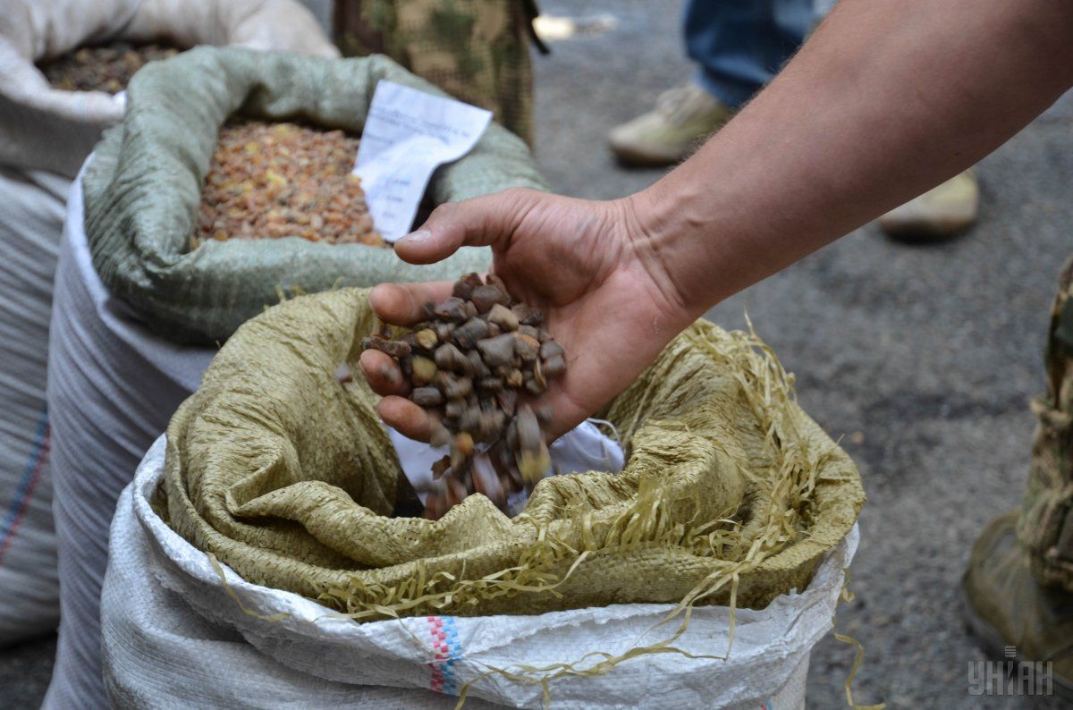 Border guards detained a large batch of amber in Lviv region / Photo from UNIAN