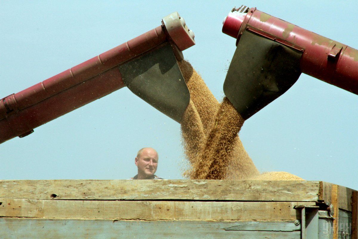 Украине дали название bread basket - 