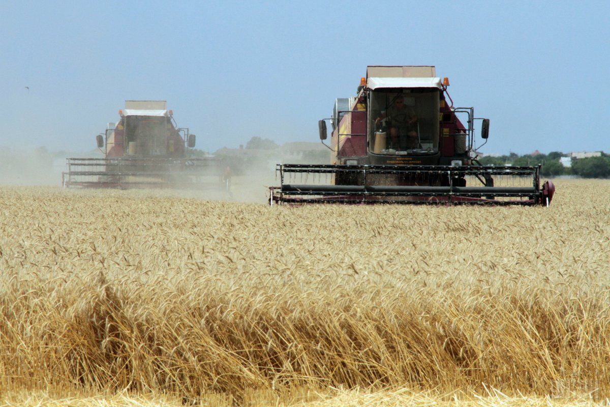 Аграрии экспортировали 43,8 млн тонн зерновых / фото УНИАН