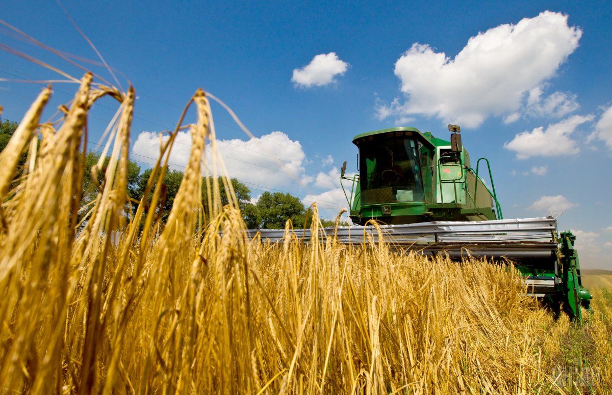 Ukrainian Agriculture Records Large Growth In Exports Media Unian