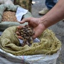В Ривненской области полиция изъяла более 55 килограммов контрабандного янтаря