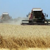 Ukrainian farmers export over 30 mln tonnes of grain since July 1
