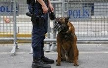 У зв'язку із терактом в Стамбулі арештовано чотири людини