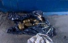 Поблизу Куликового поля в Одесі виявили пакунок з трьома гранатами - поліція (фото)