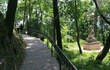 Львовян призывают не посещать городские парки в дни их обработки от клещей