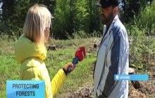 Protecting Ukrainian Forests: Activists sound alarm after suspicious felling
