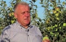 На Тернопільщині фермерське господарство "Гадз" представить першу чергу сучасного фруктосховища