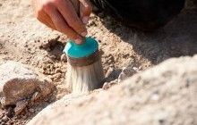 Под Житомиром обнаружили массовое захоронение жертв красного террора