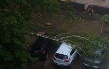 Харковом пронеслася потужна злива та ураганний вітер (фото, відео)