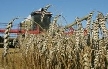 Ukraine breaks own grain export record