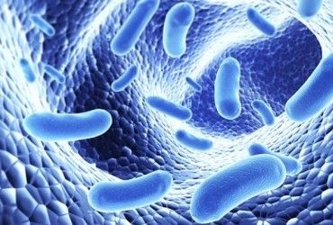 Світу загрожує найбільш смертельна в історії пандемія