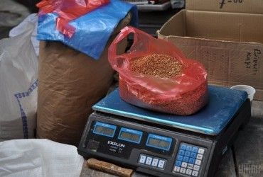 Подскочит ли гречка до 100 гривень за килограмм: эксперт объяснил, что происходит на рынке