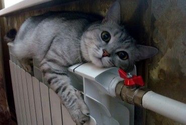 У Тернополі опалювальний сезон розпочнеться 22 жовтня