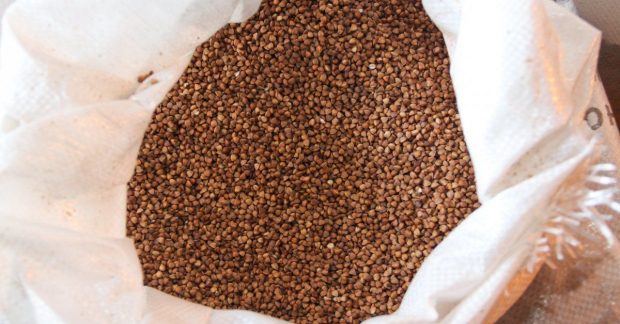 Стоимость гречки снизилась на довоенный уровень: сколько стоит крупа ...