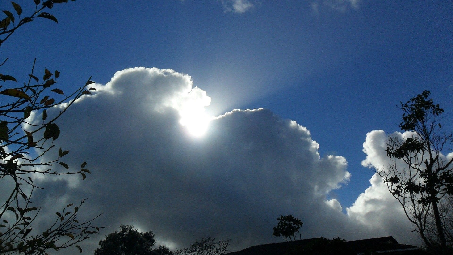 pixabay.com pixabay.com