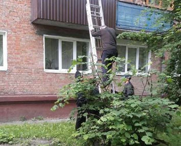 su.npu.gov.ua su.npu.gov.ua