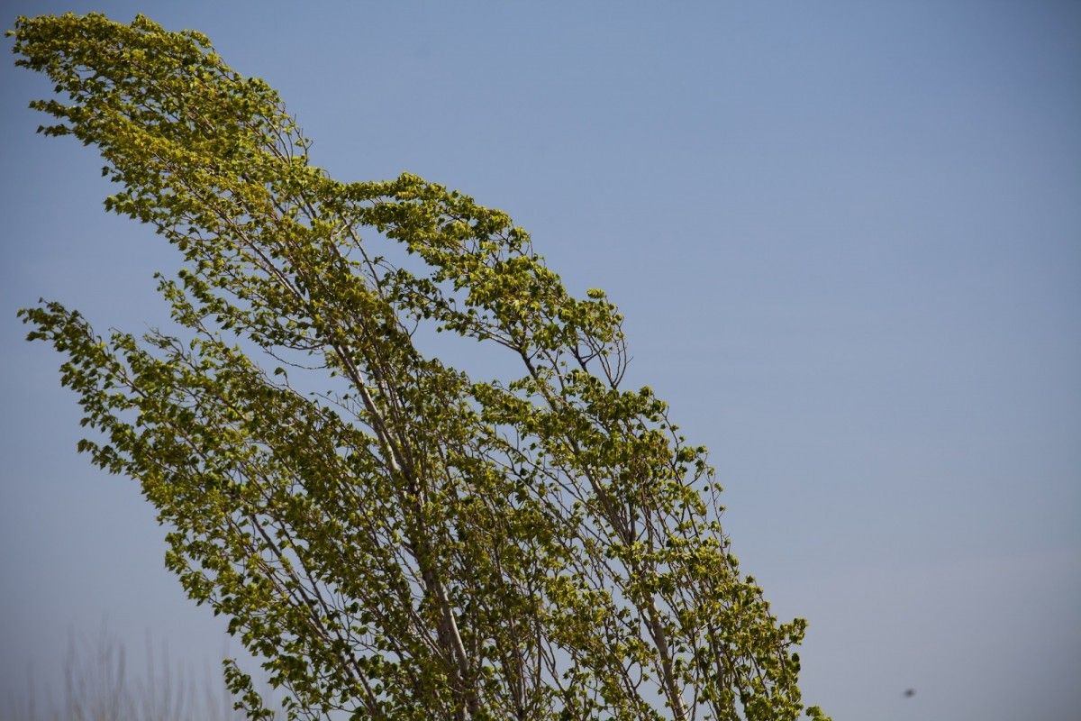 18 июня в Украине будет ветрено / фото Югополис 18 июня в Украине будет ветрено / фото Югополис