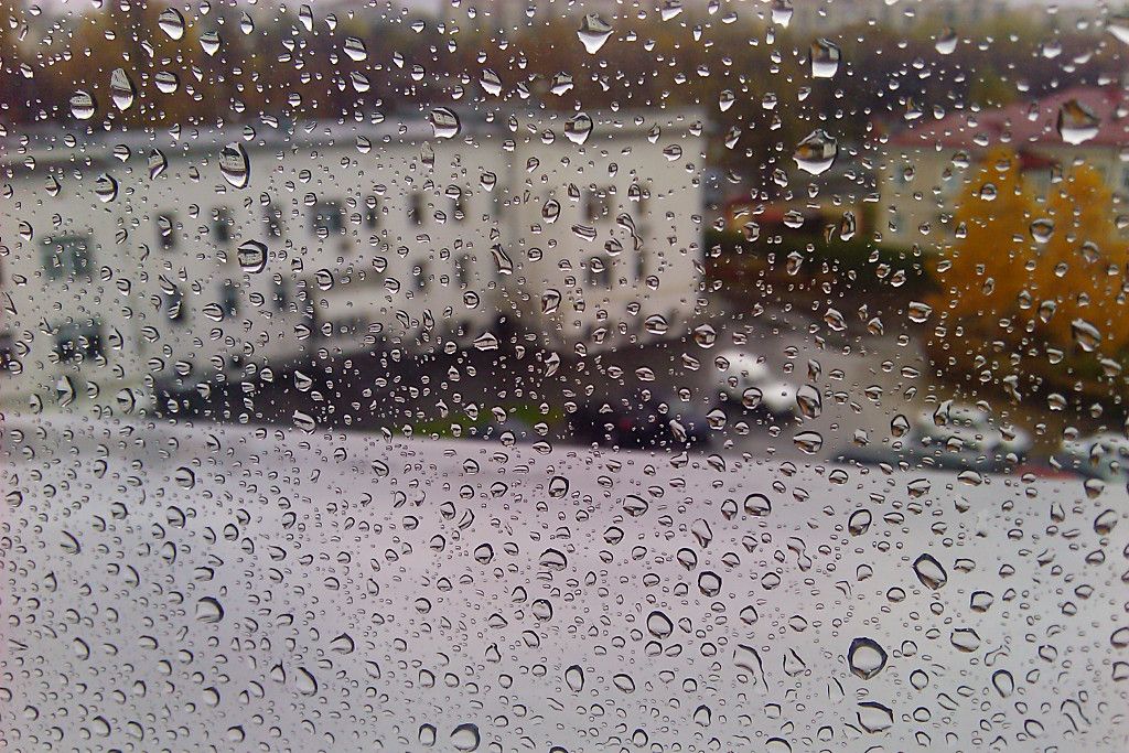 23 вересня в Києві очікується невеликий дощ / фото tivasyk.info