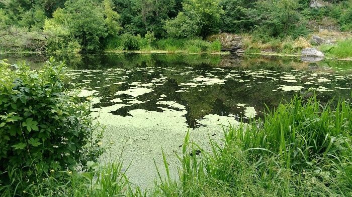 В реке Ингулец норма хлоридов превышена в три раза / фото oda.zt.gov.ua