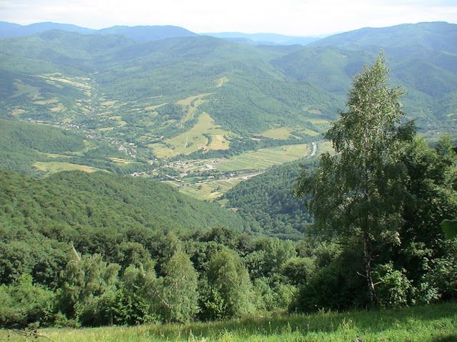 Нацполіція ретельно вивчить обставини трагедії, зокрема те, що представники влади займалися браконьєрством / Фото carpathia.gov.ua Нацполіція ретельно вивчить обставини трагедії, зокрема те, що представники влади займалися браконьєрством / Фото carpathia.gov.ua
