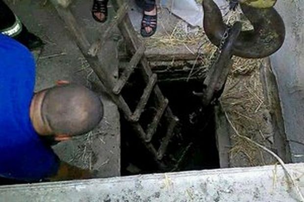 ДСНС ДСНС