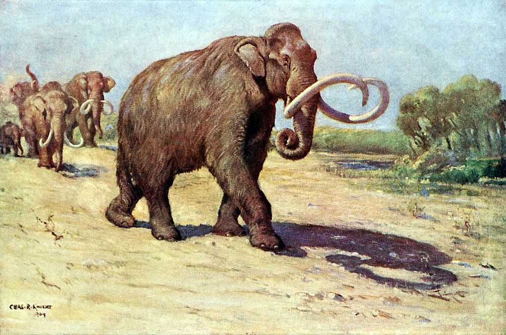 Painting by Charles R. Knight via wikipedia.org Painting by Charles R. Knight via wikipedia.org