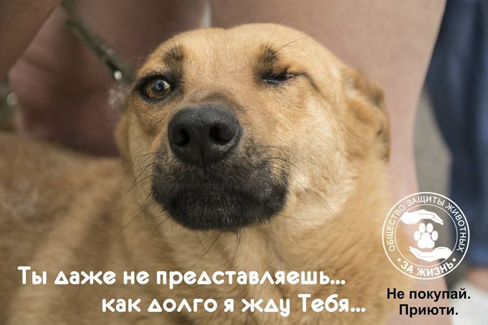 В Киеве пройдет благотворительный уик-энд 'Дома лучше' В Киеве пройдет благотворительный уик-энд 'Дома лучше'