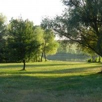 Погода на неделю: во многие области Украины придет похолодание (карта)