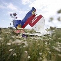 В Торецке задержали боевика, который охранял обломки сбитого самолета рейса MH17