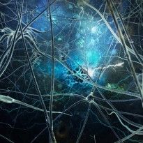 Уровень серотонина связан с развитием болезни Альцгеймера - ученые 