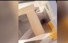 Мандруючий лабіринтом з книг хом'як завоював популярність у "Твіттері"