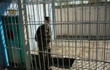 У Кіровоградській області з колонії для особливо небезпечних злочинців зник відомий шахрай (відео)