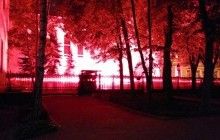 Во время нападения на Посольство Украины в Москве никто из сотрудников не пострадал