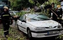 Через сильну зливу в Молдові повалилося дерево, одна людина загинула (фото, відео)