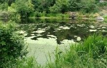 В Україні за минулий тиждень потонули 86 людей