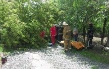У Вінниці через сильний вітер на жінку впало дерево