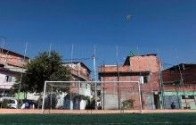 Пожежники врятували застряглого у футбольних воротах борсука Роналду (фото)