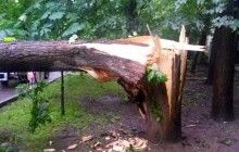 Через сильний вітер у Львівській області знеструмлено 60 населених пунктів
