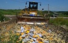У Росії продовжили продуктове ембарго до кінця 2017 року