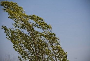 Синоптикиня попередила про небезпеку: атмосферний фронт зіпсує погоду в Україні