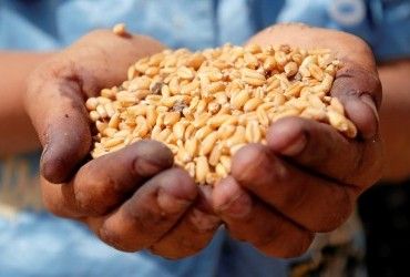 Продаж російського зерна через Литву: у Вільнюсі відреагували на звинувачення
