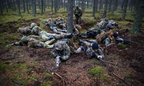 Польська армія добровольців :