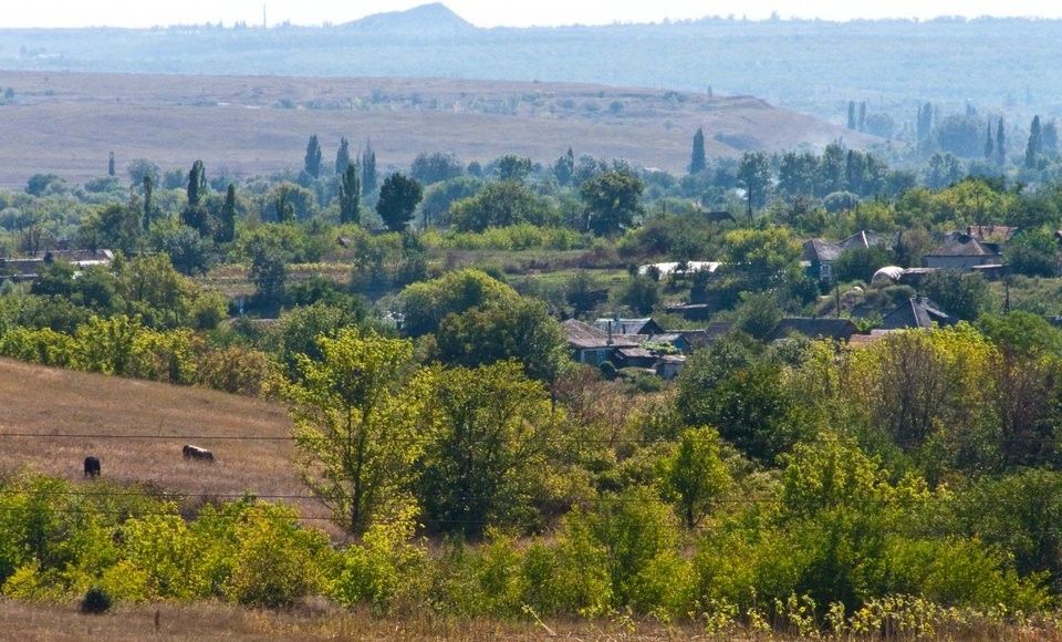 Позиції сил АТО біля Троїцького опинилися під обстрілом / panoramio.com/user/2832689 Позиції сил АТО біля Троїцького опинилися під обстрілом / panoramio.com/user/2832689