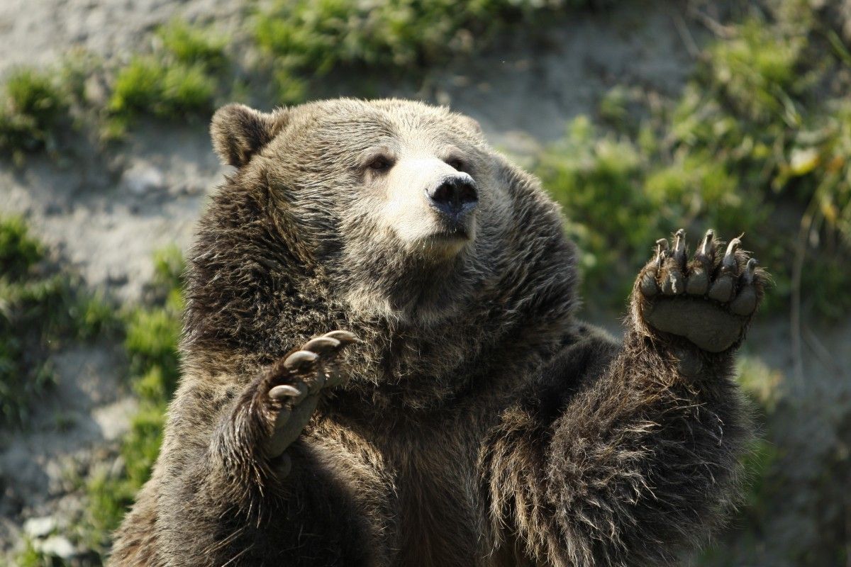 Reuters Reuters