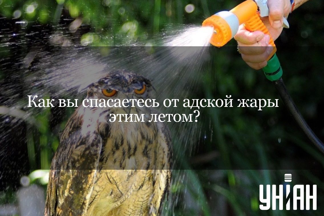 Опрос УНИАН Опрос УНИАН