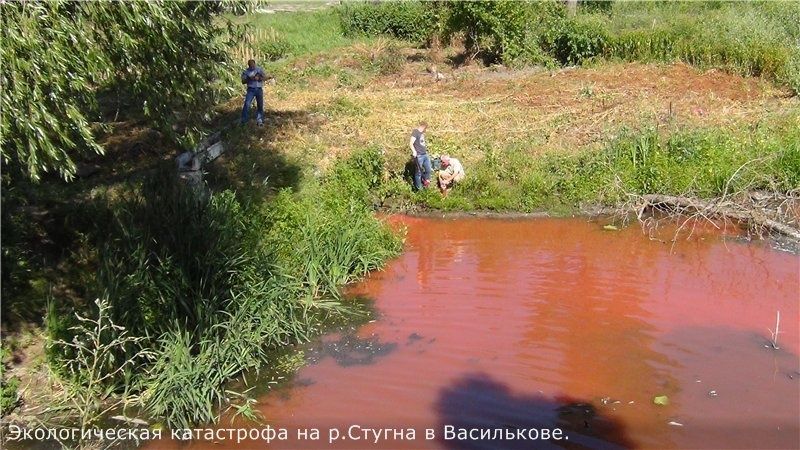 Забруднення води у Стугні / shitimech.com Забруднення води у Стугні / shitimech.com