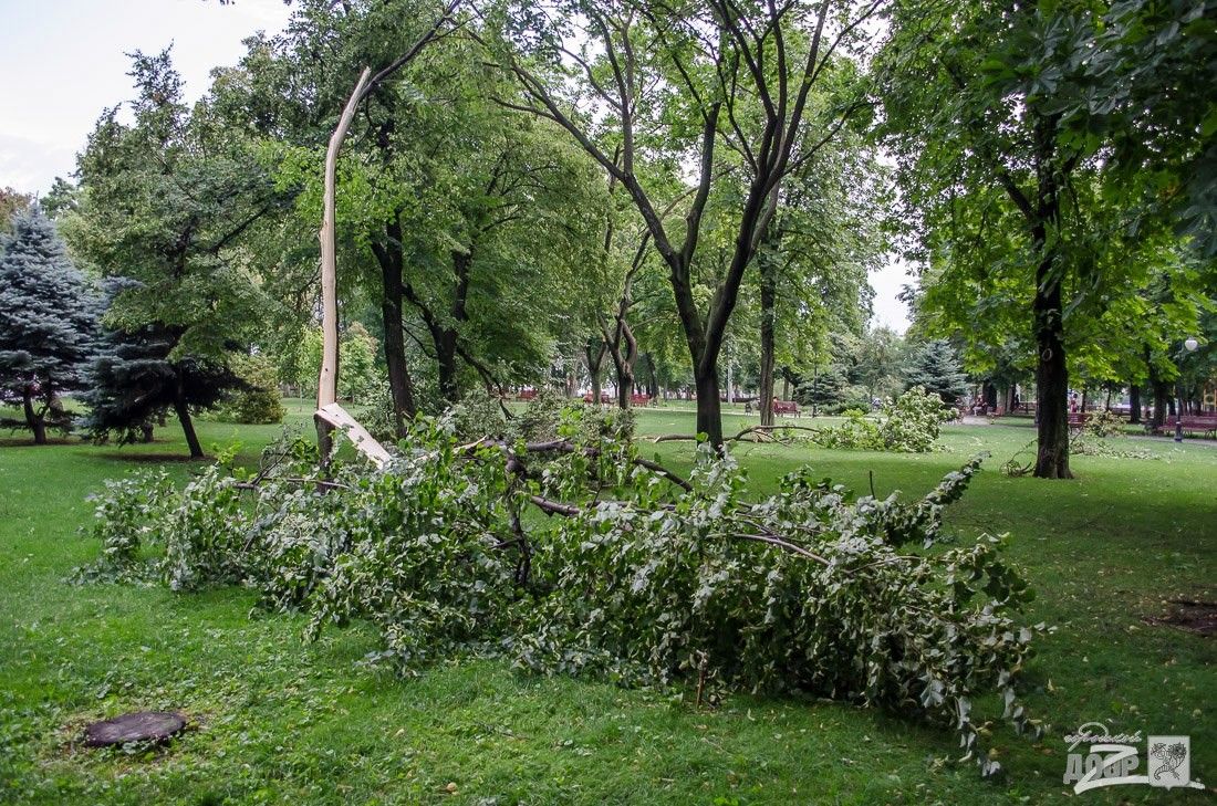 Городской дозор Городской дозор