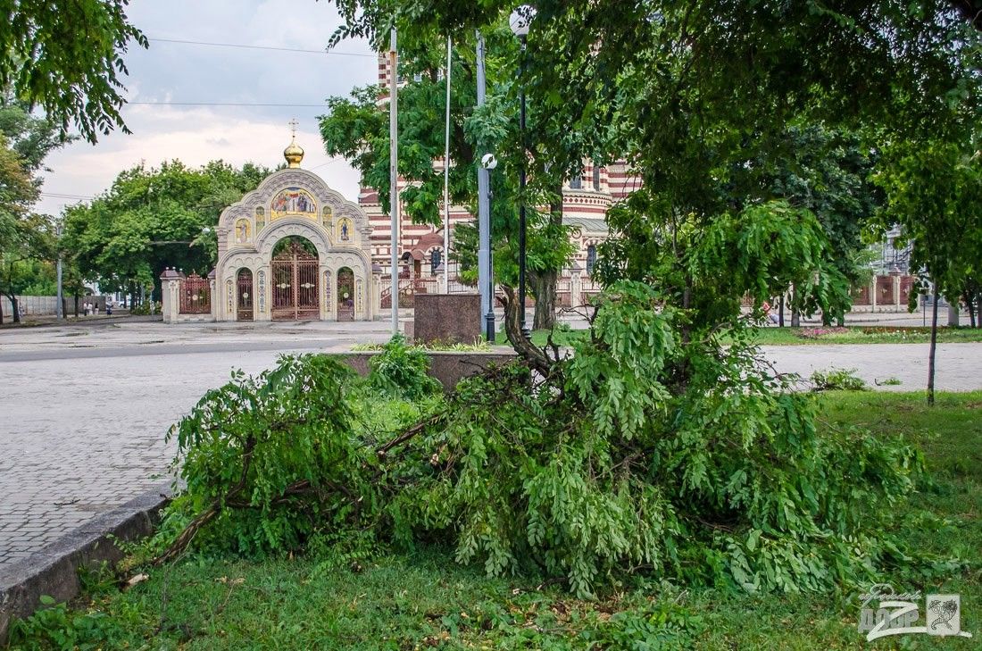 Городской дозор Городской дозор