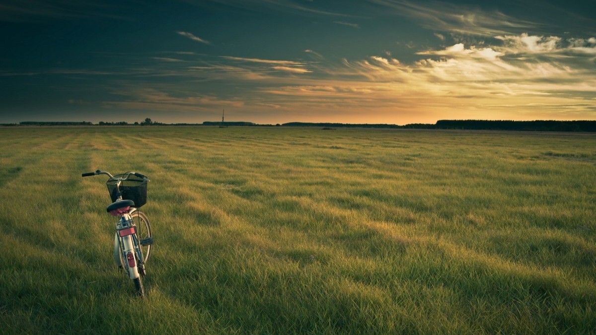 Фото wallpaperscraft.ru Фото wallpaperscraft.ru